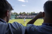 WIMBLEDON 2025