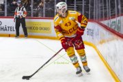 LAUSANNE - TIGERS