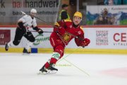 TIGERS - LAUSANNE