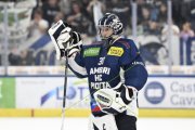 AMBRI - TIGERS
