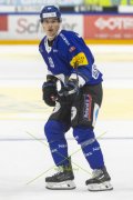 FRIBOURG - TIGERS