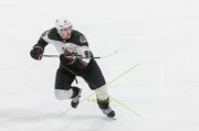 WINNIPEG - ARIZONA