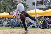 BASELSTAEDTISCHER SCHWINGERTAG