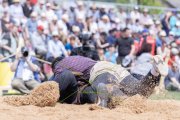 SOLOTHURNER KANTONAL SCHWINGFEST