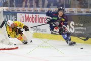 AMBRI - BERN