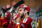 TIGERS - AMBRI