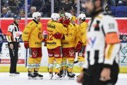 AMBRI - TIGERS