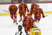 TIGERS - DAVOS