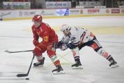 TIGERS - ZSC