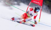 EUROPA CUP SPEED FINAL SAALBACH 2026
