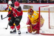 LAUSANNE - TIGERS