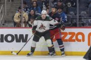 WINNIPEG - ARIZONA
