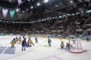FIALA ALLSTARS - ZSC