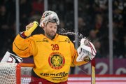 BERN - TIGERS
