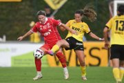 RAPPERSWIL - YB