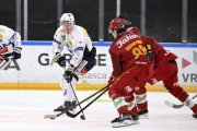 AMBRI - TIGERS