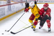 LAUSANNE - TIGERS