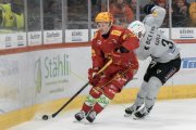 TIGERS - FRIBOURG