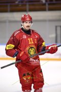 AMBRI - TIGERS