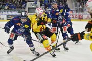 AMBRI - BERN