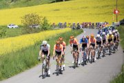 TOUR DE ROMANDIE 2026