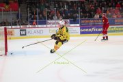 TIGERS - BERN