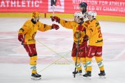 BERN - TIGERS