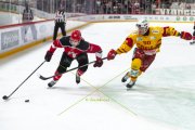LAUSANNE - TIGERS