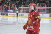TIGERS - ZSC