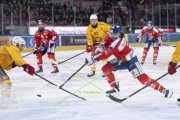 ZSC - TIGERS