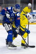 HCC - AROSA