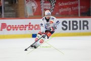 TIGERS - ZSC