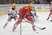 TIGERS - ZSC