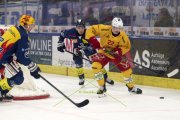 AMBRI - TIGERS