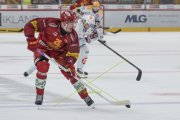 TIGERS - ZSC