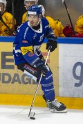 FRIBOURG - TIGERS