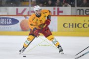 BERN - TIGERS