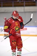AMBRI - TIGERS