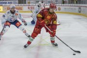 TIGERS - ZSC