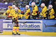 AMBRI - BERN