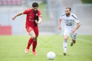 VADUZ - CAROUGE