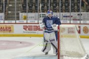 TIGERS - ZSC