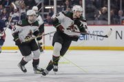 WINNIPEG - ARIZONA