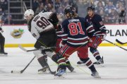 WINNIPEG - ARIZONA