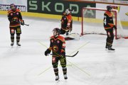 BERN - MOUNTFIELD