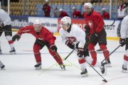 TRAINING SCHWEIZ