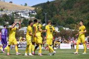 LIESTAL - YB