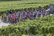 TOUR DE ROMANDIE FRAUEN 2023
