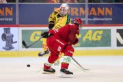 TIGERS - BERN