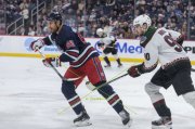 WINNIPEG - ARIZONA